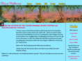 clairematturro.com