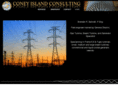 coneyislandconsulting.com