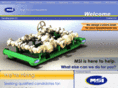diwmsi.com