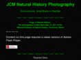 jcmnaturalhistory.com