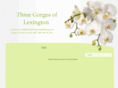 3gorgeslexington.com