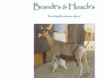 brandtsandhoachsalpines.com