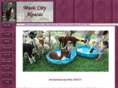 musiccityalpacas.com