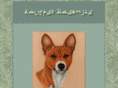 calypsobasenjis.com