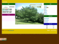tree-olive.com