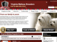 virginiamaltesebreeders.com
