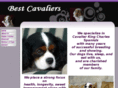 bestcavalier.com