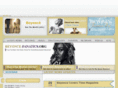beyonce-fanatics.org