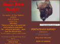 bisonbiblestudy.org