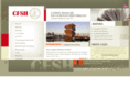 comitefrancais-scienceshistoriques.fr