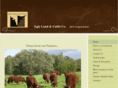 eglygrassfedbeef.com