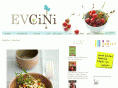 evcini.com