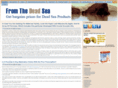 fromthedeadsea.com