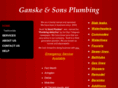 ganskeplumbing.com