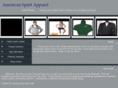 americanspiritapparel.com