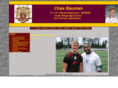 chasbauman.com