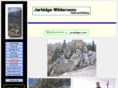 jarbidge.com