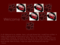 vampiredream.com