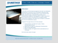 sanethis.com