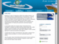nexorinternational.com