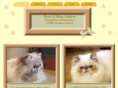 pawsofhopecattery.com