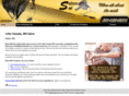 salonstil.com