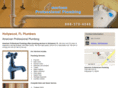 americanproplumbing.com
