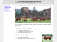 llanthonyherefords.com