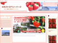 nikkoichigo.com