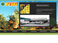 peyfi.com