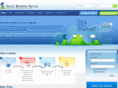 smallbusinesssolver.com