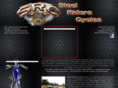 steelriderscycles.com