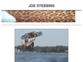 joestebbins.com