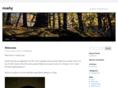 noahy.com
