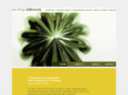cactushq.com