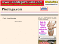 pindinga.com