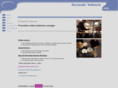 valenciapercussion.com