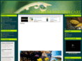 aquarium-and-fish-care.com