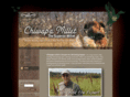 chiwapamillet.com