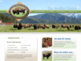 diamondmountainranch.com