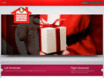 housechristmaslighting.com
