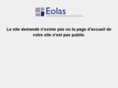 chamonix-guides.net