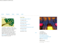 innamissions.com