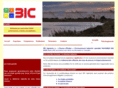 bic-consultant.com