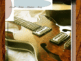 odenguitars.com