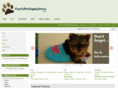 playfulpetsupplystore.com
