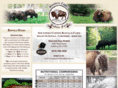 southerncopperbuffalo.com