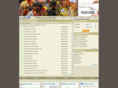 delhi-car-rental.com