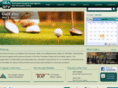 ibasfv.com