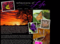 debbiemcwilliams.com